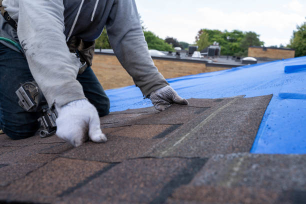 Roof Waterproofing Services in Nanticoke, PA